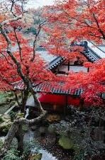注册送彩金